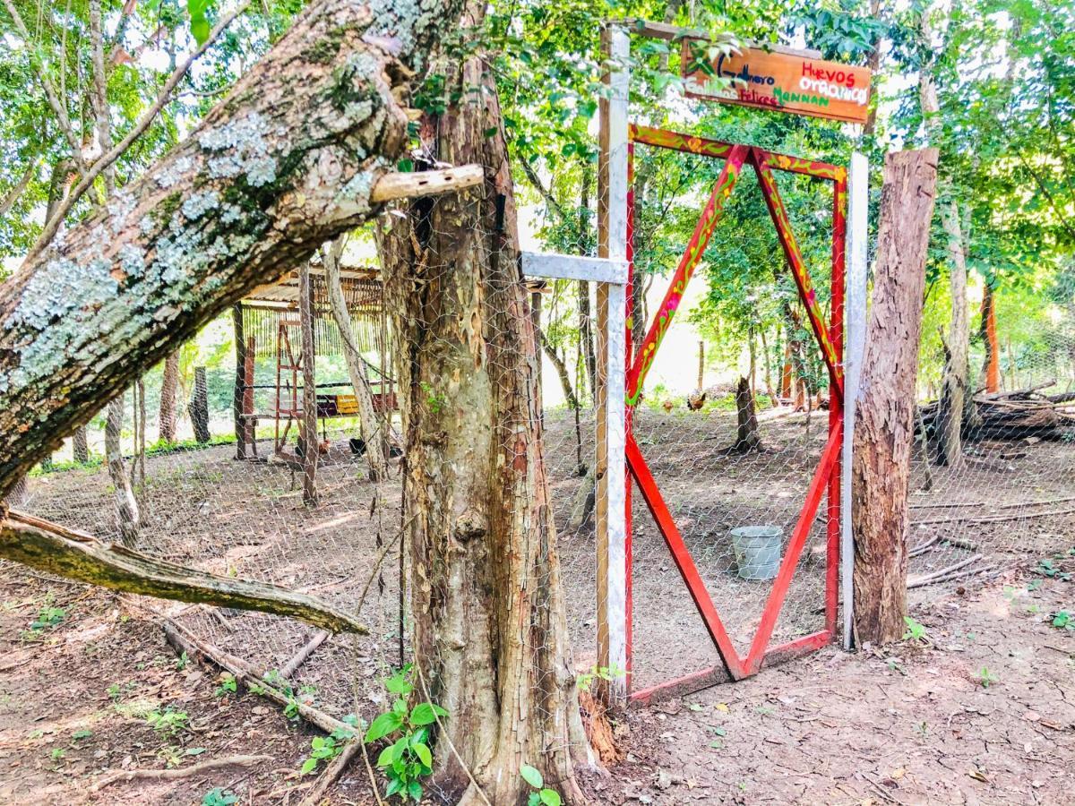 Cabanas Mannan Tanchachín Exteriör bild