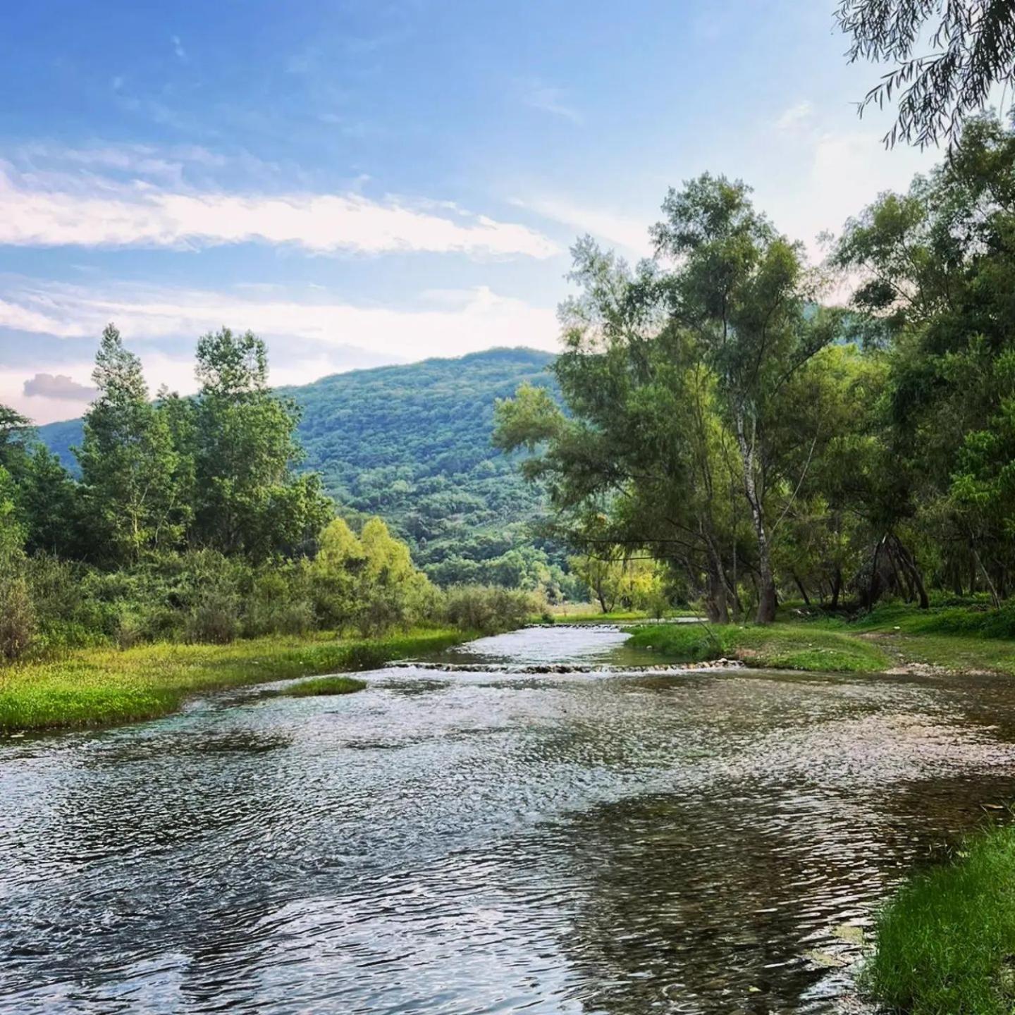 Cabanas Mannan Tanchachín Exteriör bild