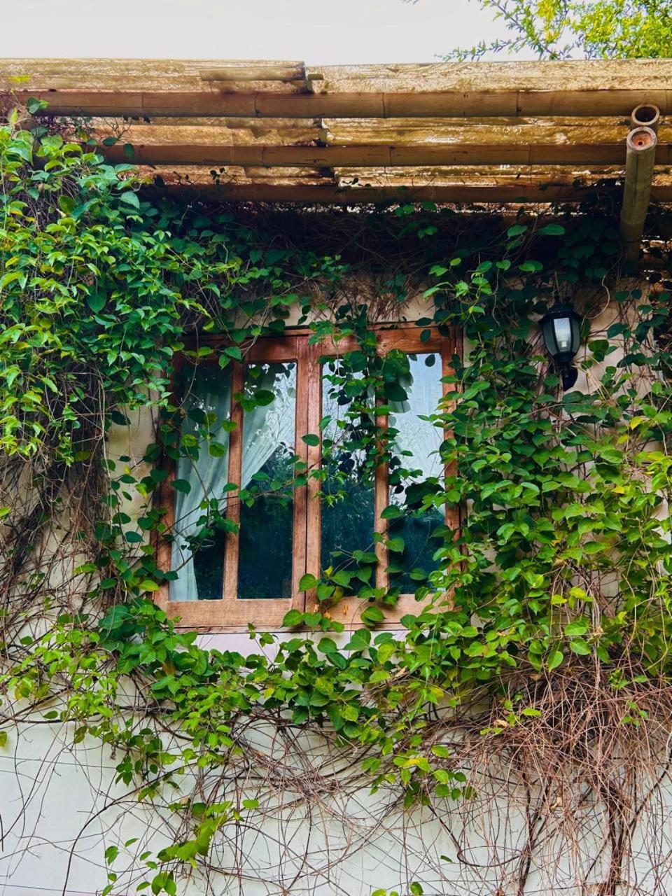Cabanas Mannan Tanchachín Exteriör bild