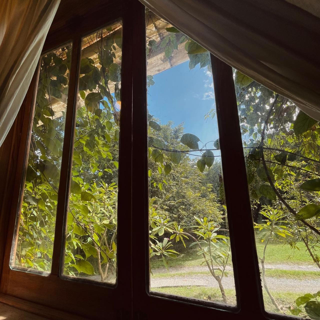 Cabanas Mannan Tanchachín Exteriör bild